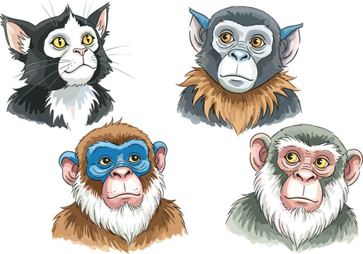 Realistic animal portraits set including cat and monkeys with detailed facial expressions in hand drawn vector style for wildlife illustration and character design