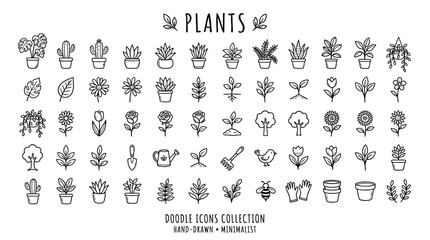 Collection of various potted houseplants. © muhammadsyaiful