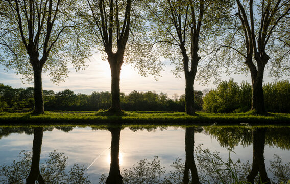 Rh&ocirc;ne-Rhine Canal with plane tree reflections, in Illkirch-Graffenstaden, France