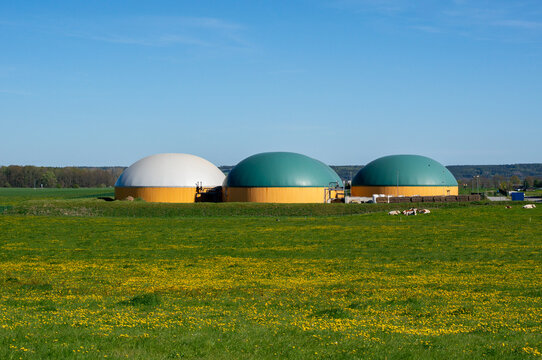Biogas plant in Germany with green dandelion meadow in spring