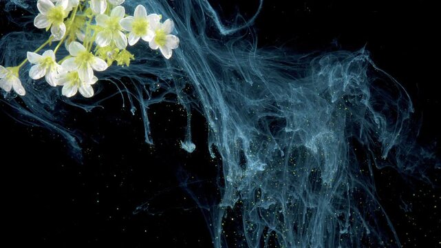 White branch drifting through blue ink current, highspeed macro study of ink diffusion and petal interaction in controlled studio tank, visual artist