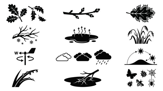  icon set of subtle seasonal environmental changes, including leaf color transition, small bud growth, frost edge forming on leaf, early snowfall, puddle evaporation, grass dryin
