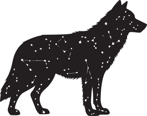 Obraz premium Wolf Constellation, Black Silhouette, Starry Night Sky, Vector Illustration