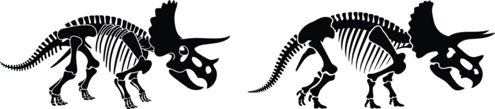 Triceratops dinosaur skeleton silhouette set, prehistoric fossil bones side view, black vector illustration for education and science design