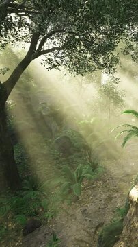 Gentle rays of sunlight break through the green canopy, illuminating the tranquil forest floor. Leaves glisten in the soft light, creating a peaceful and enchanting atmosphere in nature.