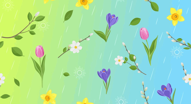 Springtime floral pattern with tulips, daffodils, crocuses, and pussy willows against a pastel gradient background with raindrops