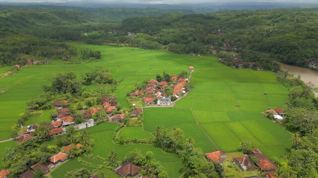 Tiny Indonesian Local Village Surrounded By Green Rice Fields Sindangbarang Java Drone Track In 4K 60FPS