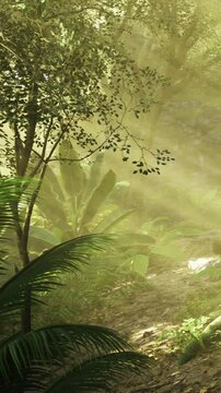 Soft sunlight dances through the trees, illuminating the verdant path winding through the tranquil forest. Nature awakens, creating a peaceful atmosphere filled with fresh air.