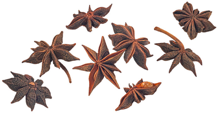 Star anise spice isolated on white background with clipping path
