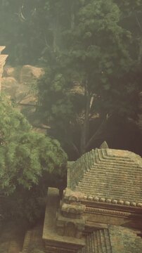 Wander through time in serene ruins cloaked in mist, where towering trees merge with stone structures. Nature embraces history, inviting curiosity and wonder in this tranquil setting.