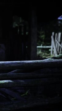 Soft rays of twilight filter through leaves, illuminating aged logs at dusk. A tranquil atmosphere envelops the forest as shadows play among the trees, inviting quiet reflection.