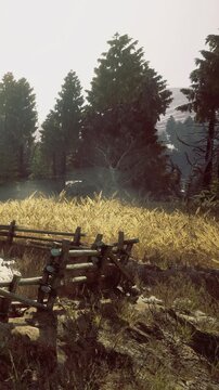Sunlight filters softly through towering trees as golden wheat sways in the breeze. A rustic fence frames the serene landscape, inviting peaceful moments of reflection and joy.