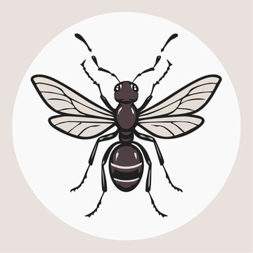 Illustration of a winged ant