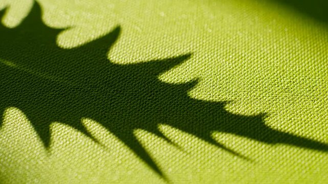 Shadow of leaf on textured fabric highlighting geometric patterns and contemporary art