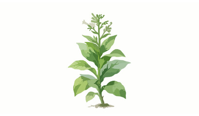green Herb Plant Illustration with Leaves and Flower Buds for Natural, Botanical, and Garden Designs © Kulsum