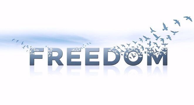 Freedom depicted by word and birds flying
