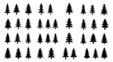 Large collection of various black spruce tree silhouettes arranged in rows isolated on transparent background for forest landscape patterns graphic design elements vector illustration set black icons. © Marjahan