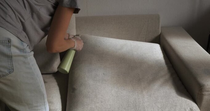 Cleaning spray applied to a sofa for home upholstery care