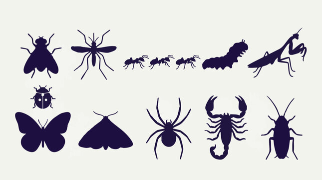 Diverse insect and arachnid silhouettes: fly, mosquito, ant, spider, butterfly