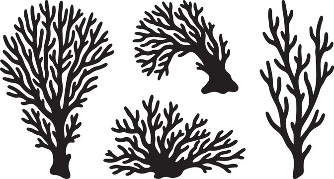 Sea Coral Reef Silhouette Vector Set for Marine Life and Aquatic Ecosystem Design