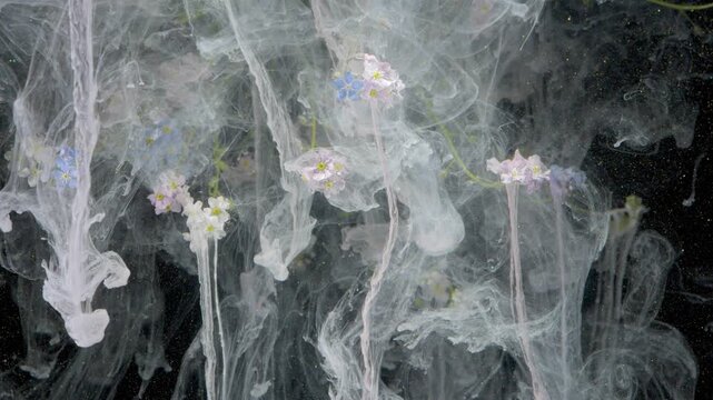 Delicate wildflowers drifting in ink, captured underwater with white ink swirling around pastel blossoms, slow motion diffusion forming ethereal