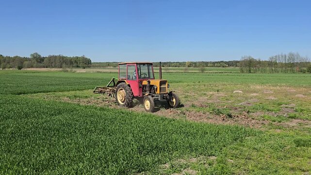 Old red tractor plowing brown soil on a green farm field during spring agricultural work, traditional machinery cultivating land close up under bright daylight. Video 4k