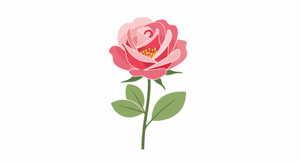 Fototapeta premium A pink rose with green leaves and a stem, isolated on a white background
