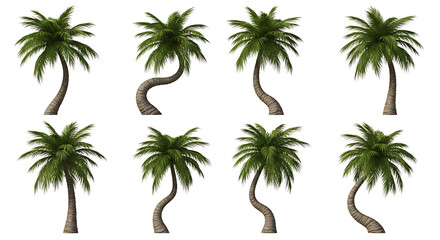 Obraz premium Collection of eight distinct palm trees with varying trunk shapes and lush green fronds, set against a white background.