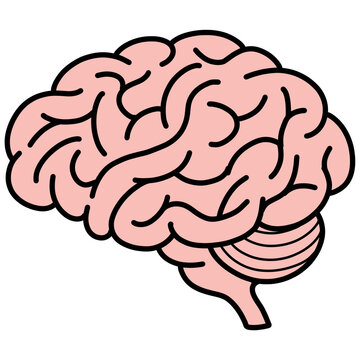 cartoon illustration of the human brain 