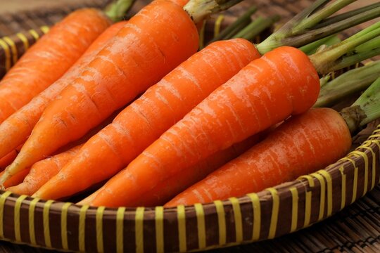Carrots are biennial plants in the umbellifer family, Apiaceae. wortel