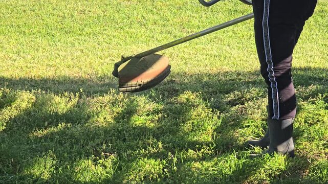 Close up of a petrol grass trimmer brushcutter cutting green grass along a fence in a garden during spring maintenance work on a sunny day.  Video 4k