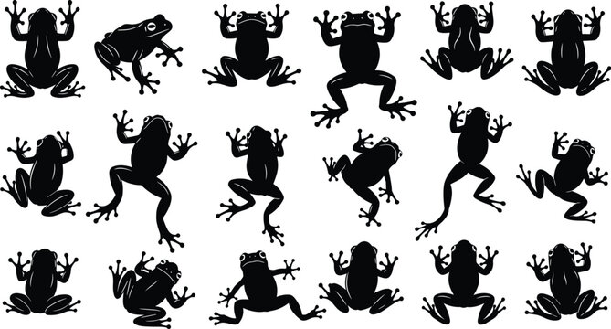 Frog Silhouette Set with Diverse Species in Various Jumping and Sitting Poses Isolated on White Background