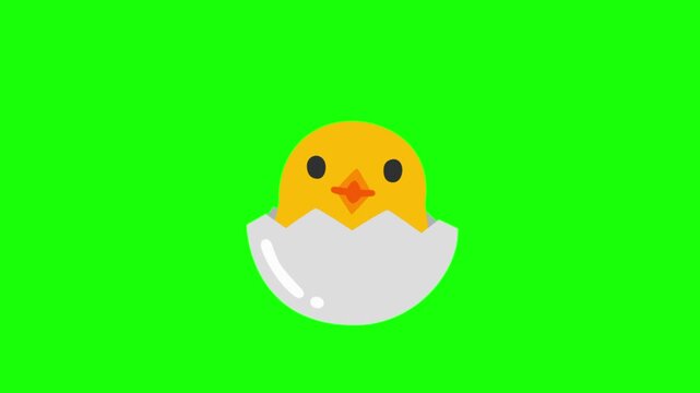 chick with egg on green screen