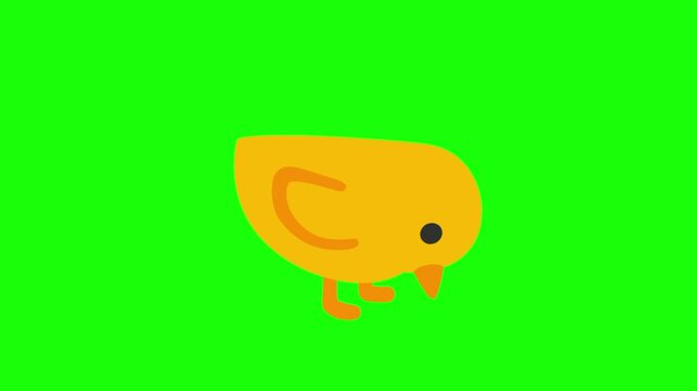 Yellow chicken on green background