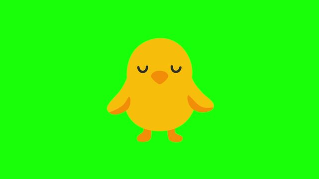 Chicken animation on green screen