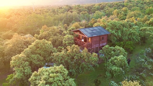 Aerial view of treehouse in lush green forest at sunset, peaceful nature escape and eco living lifestyle concept
