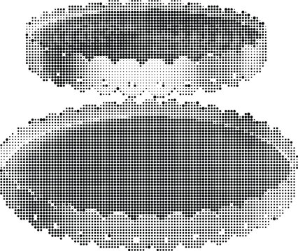 A close-up view of two gray and white objects on a clear surface