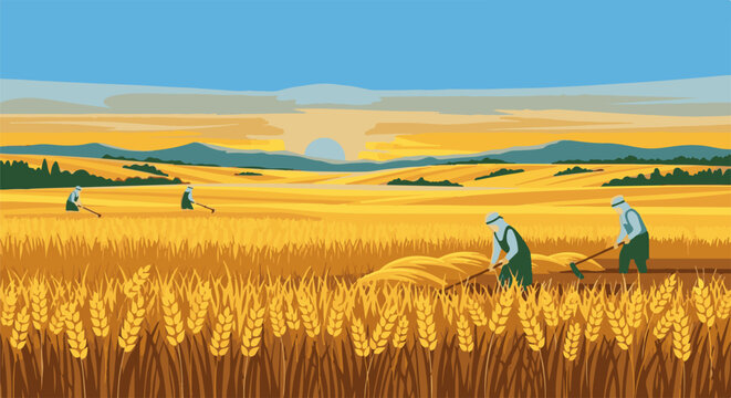 Rural workers harvest golden wheat fields under a sunset sky