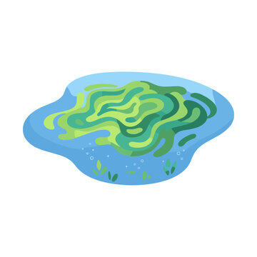 Algae bloom on lake surface in vibrant green and blue colors  