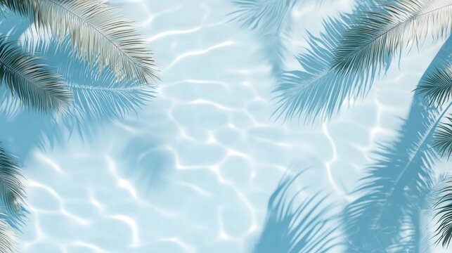 Clear water with palm shadows in a sunny tropical place during the day