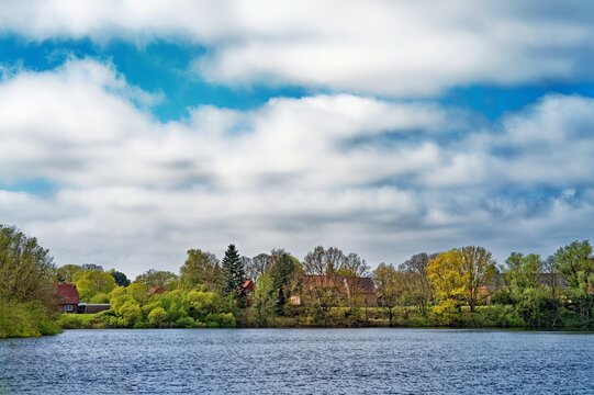 View across a lake of trees along the waterfront, East Frisia, Lower Saxony, Germany