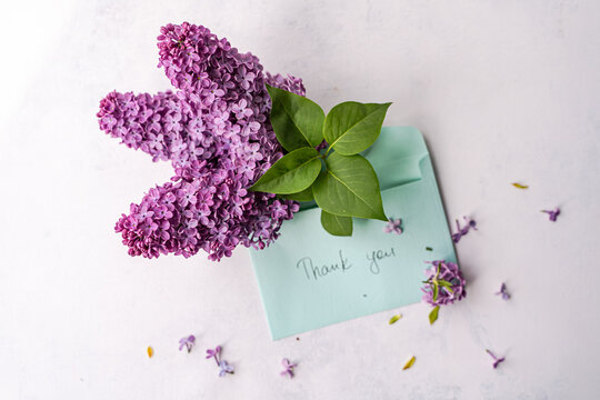 Overhead view of fresh lilac flowers sticking out of an open envelope with the words Thank you