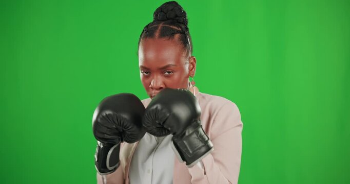 Business, boxing and fight with black woman on green screen for challenge, empowerment and strong. Professional, fearless and power with portrait of female on studio background for competition