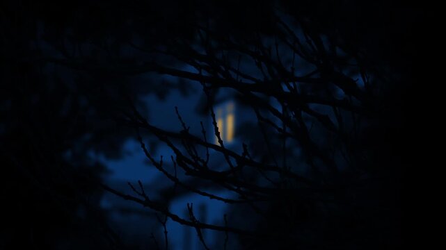 Branches With Out Of Focus House With Light On Behind