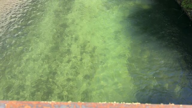 Shallow clear water with algae patterns and sunlight moving on surface