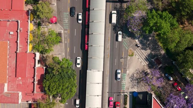 Vertical aerial of Insurgentes corridor with public transport in CDMX