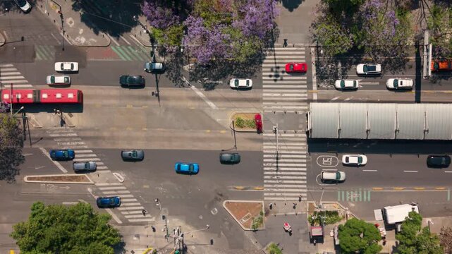 Aerial city scene of Insurgentes corridor with Metrobus and sunlight