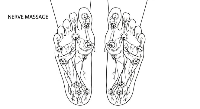 Detailed Foot Reflexology Chart Showing Pressure Points.