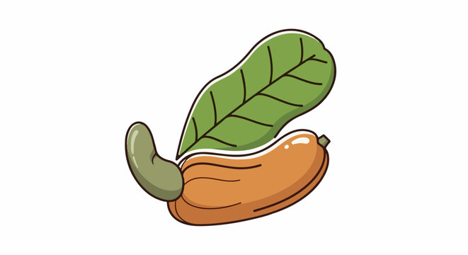 A stylized cartoon cashew nut and green leaf are depicted with bold black outlines