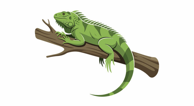 A vibrant green iguana rests on a textured brown branch, its scaled body a depiction of natural beauty